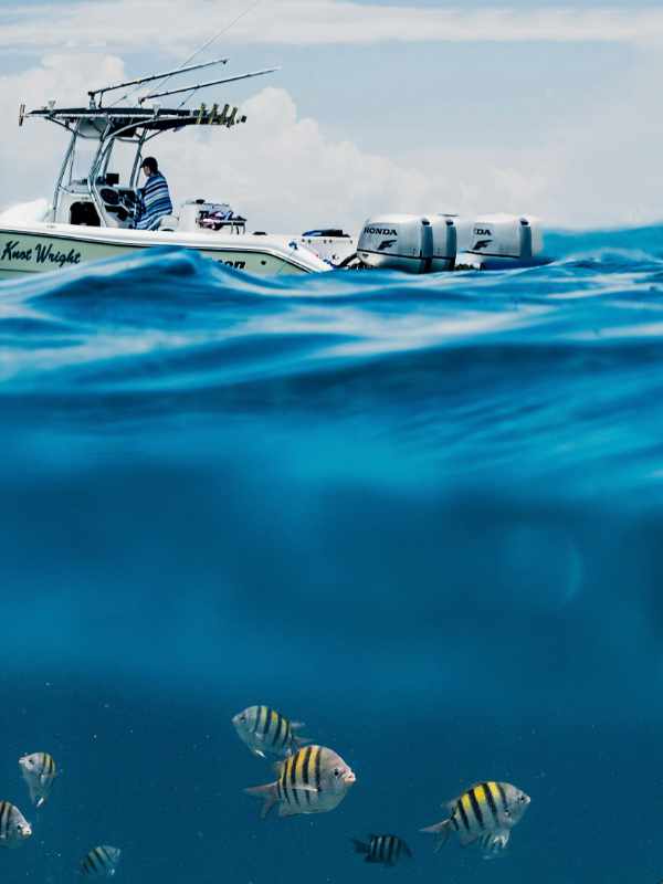 Mercury 150HP FourStroke